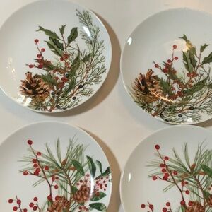 4 fall/winter William Sonoma dishes, 4  napkins,4 decoupaged oyster shells .